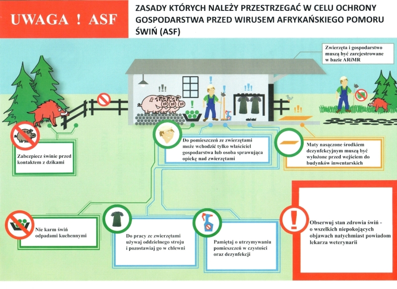 ASF bioasekuracja