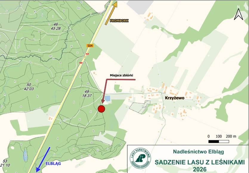 SADZENIE_DRZEW_Z_LESNIKAMI.jpg