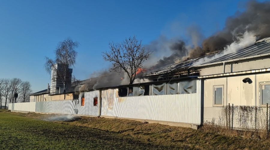 pożar nowy dwór gd (14)