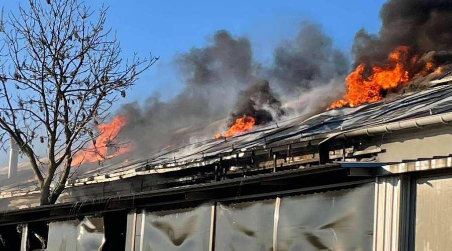 pożar nowy dwór gd (19)