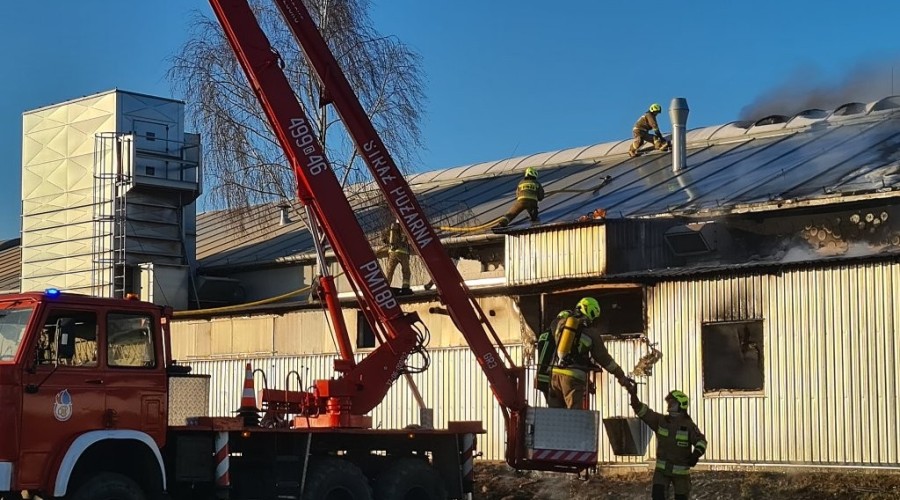 pożar nowy dwór gd (22)