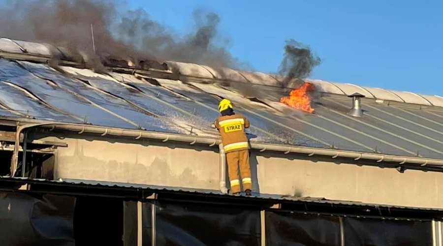 pożar nowy dwór gd (24)