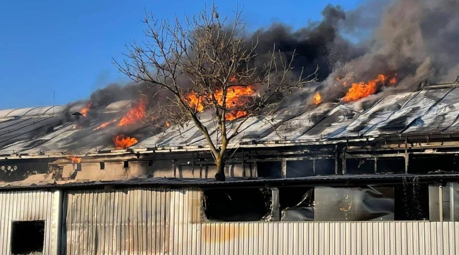 pożar nowy dwór gd (26)