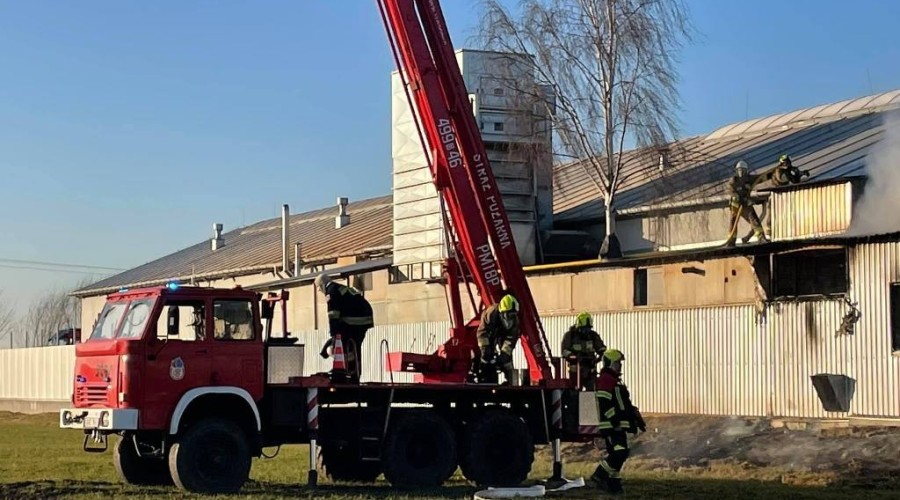pożar nowy dwór gd (28)