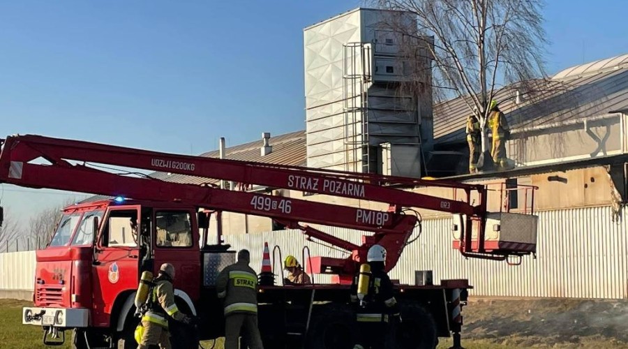 pożar nowy dwór gd (3)