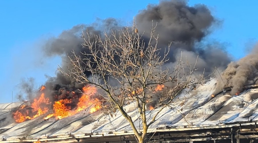 pożar nowy dwór gd (34)