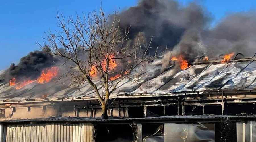 pożar nowy dwór gd (35)