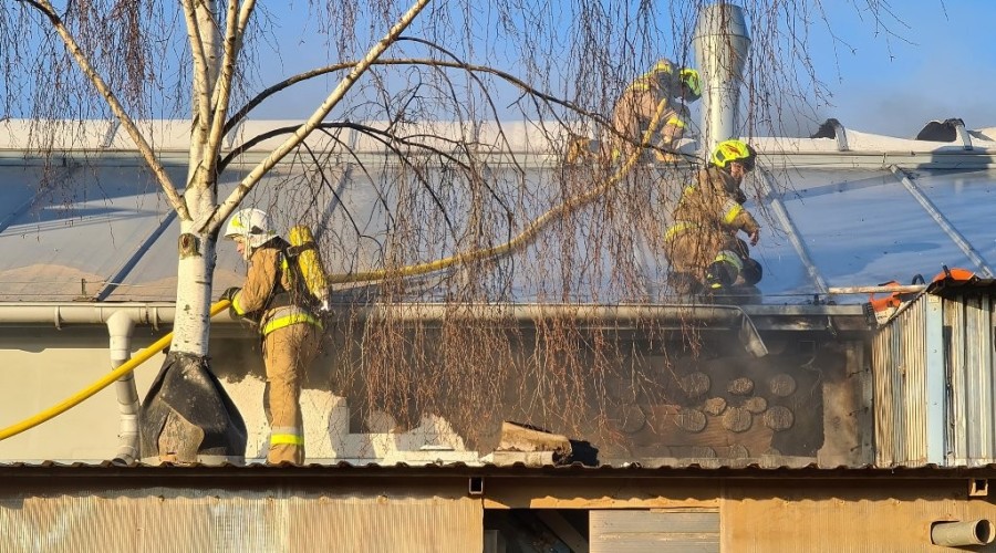 pożar nowy dwór gd (36)