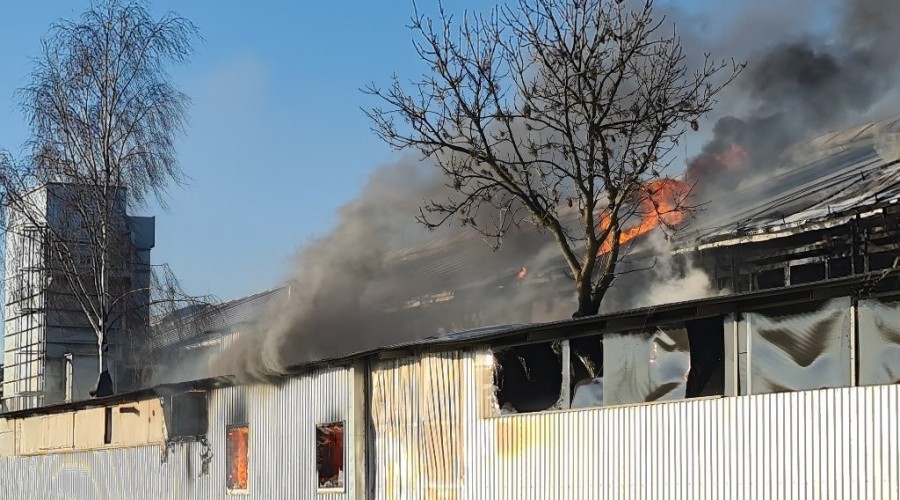 pożar nowy dwór gd (4)