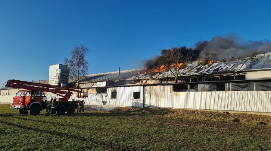 pożar nowy dwór gd (5)