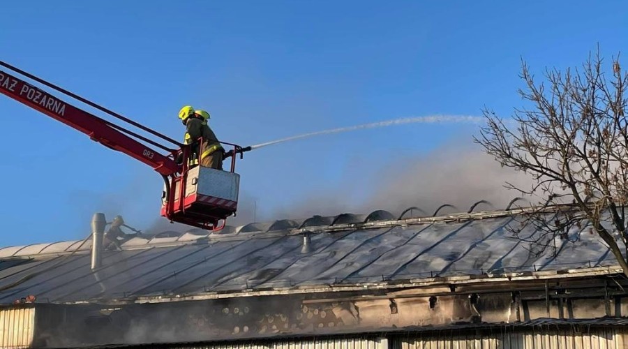 pożar nowy dwór gd (9)