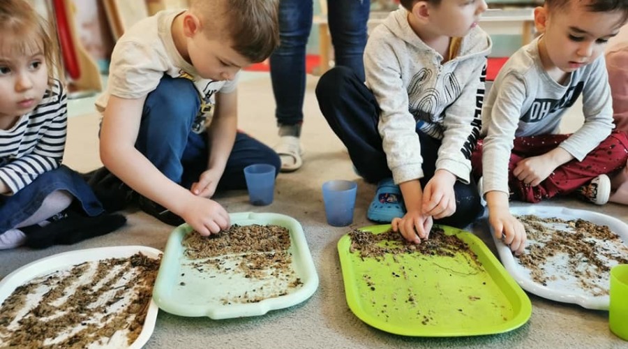 Tomasz ołdziejewski przedszkole europejczyk elbląg (1)