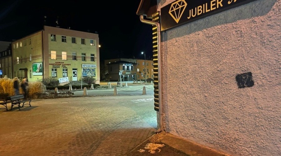 Akt wandalizmu w Nowym Dworze Gdańskim. (7)