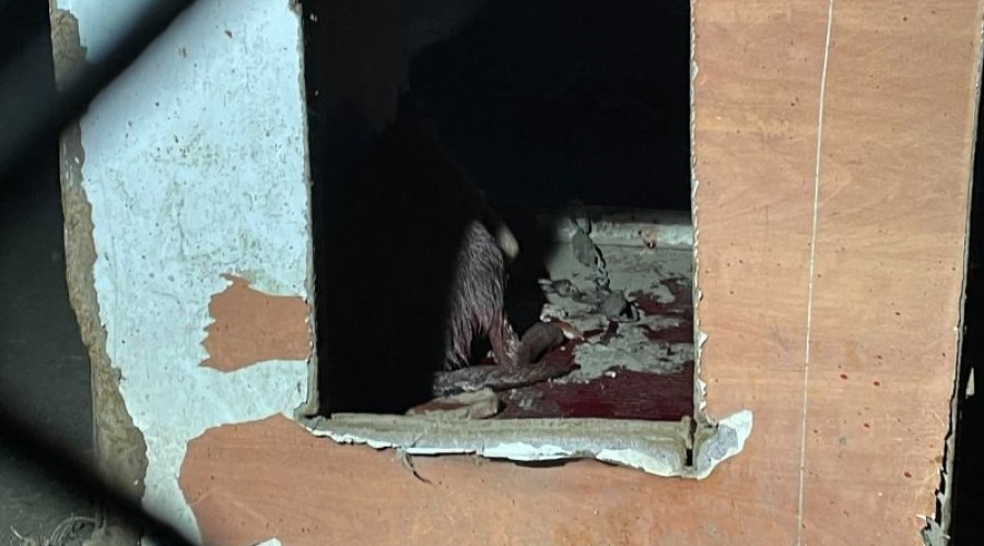 interwencja reks malbork (5)