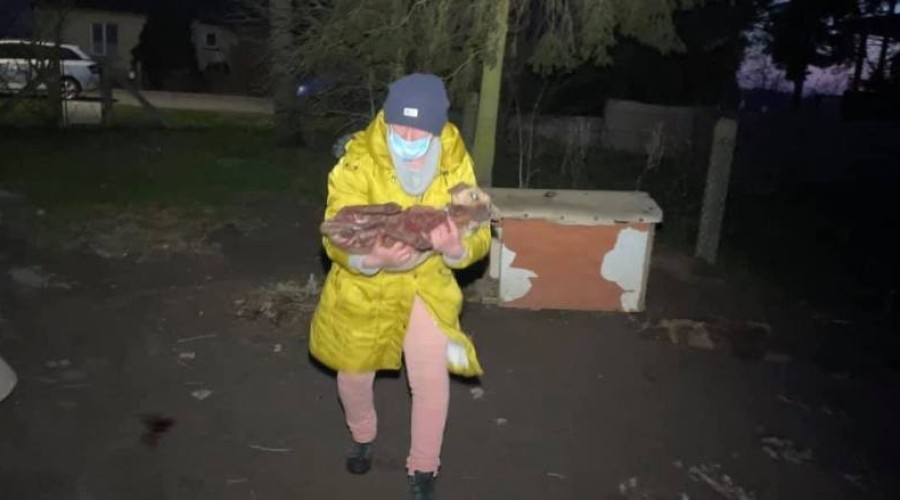 interwencja reks malbork (7)