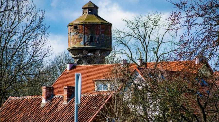 172943928_1185684461853171_1975832455489662124_n