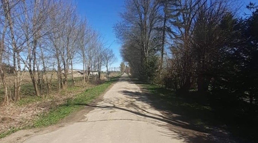 177517322_1137143056792113_3183306387290278218_n