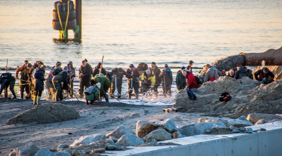 bursztynowa gorączka przekop (4)