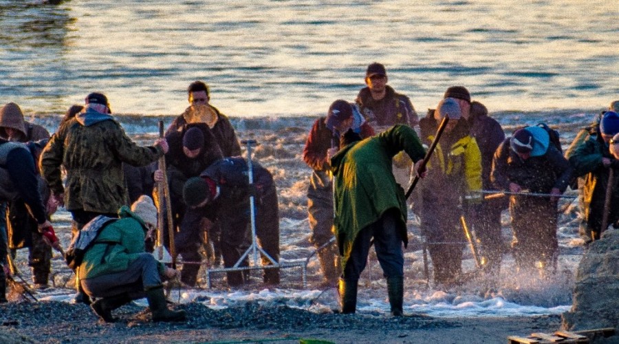 bursztynowa gorączka przekop (5)