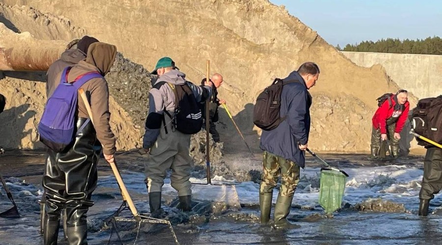 bursztynowa gorączka przekop0108