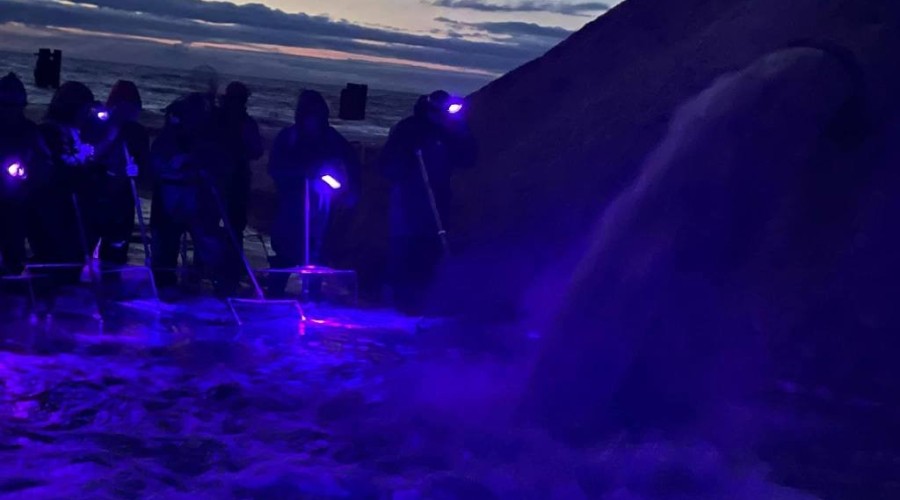 bursztynowa gorączka przekop0110