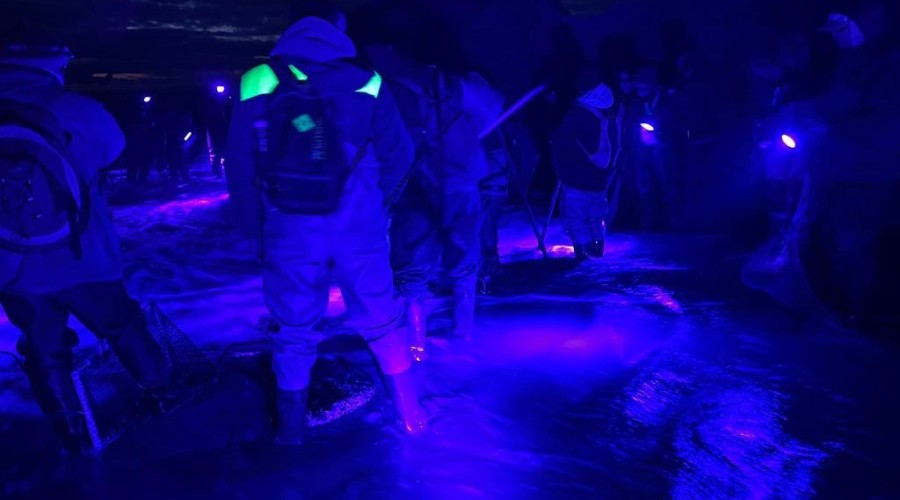 bursztynowa gorączka przekop0120