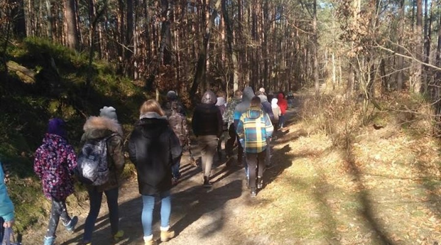 53660876_407803019793842_5453481492271333376_n