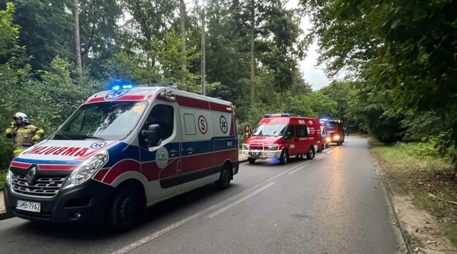 931F64D6-8434-45AA-B7EC-B30A0502C022