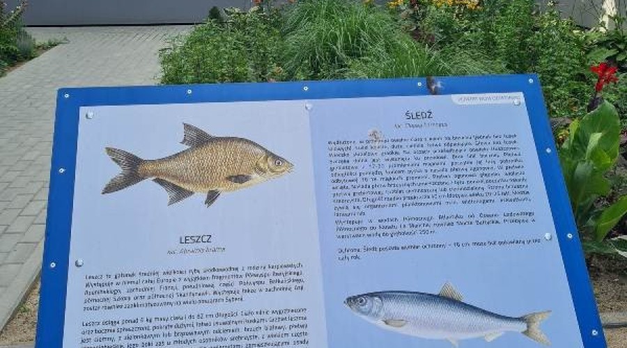 Nowy Dwór Gd. Plac zabaw przy SOSW oddany do użytku.07