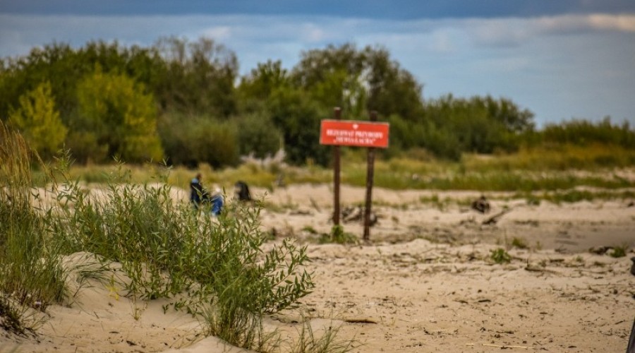 sprzątanie mewiej łachy12