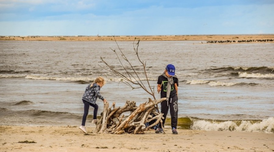sprzątanie mewiej łachy16
