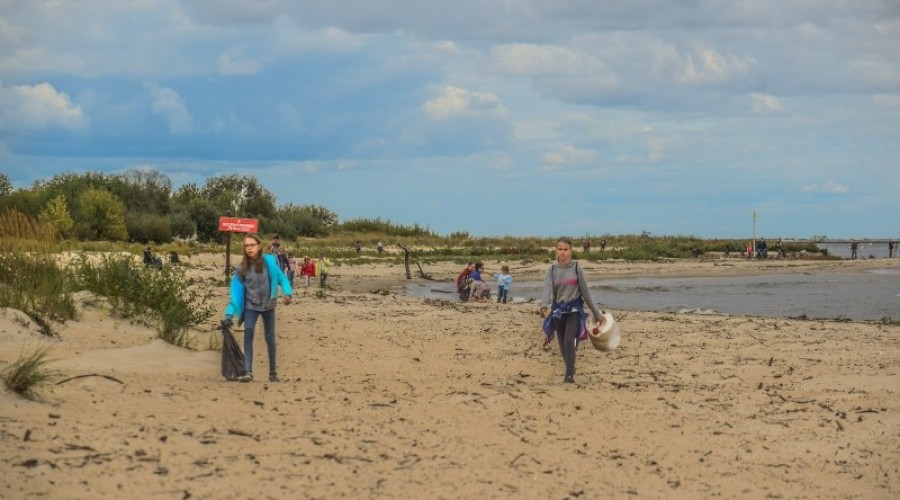 sprzątanie mewiej łachy22