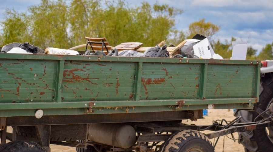 sprzątanie mewiej łachy33