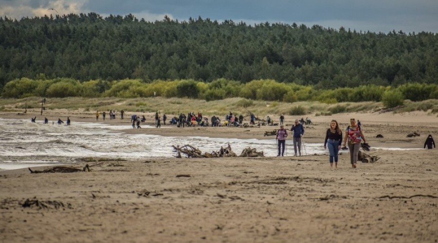 sprzątanie mewiej łachy37