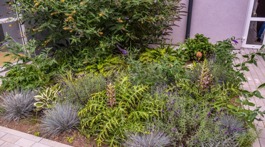 plac zabaw sosw (13)