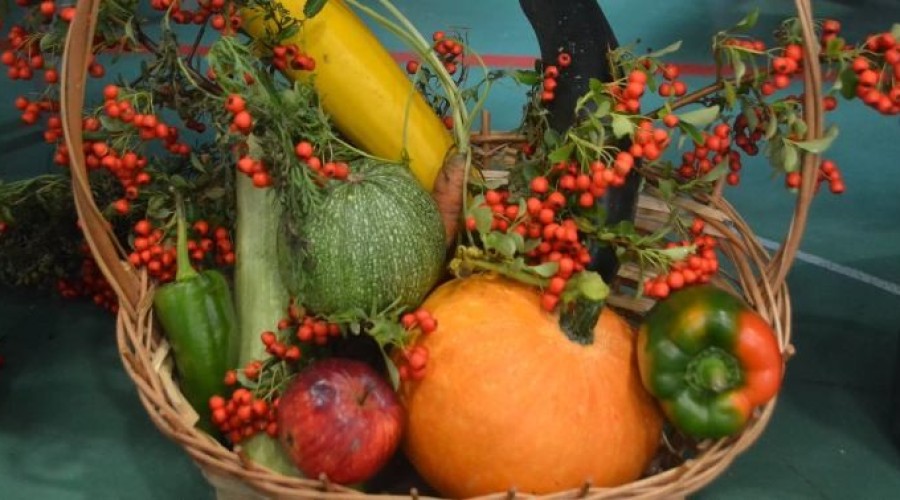 piknik sztutowo (20)