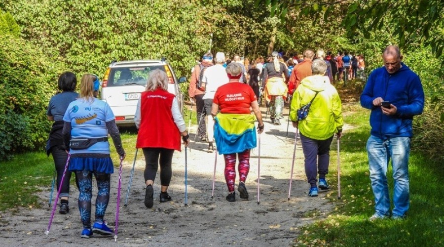 laury bałtyku w Jantarze29