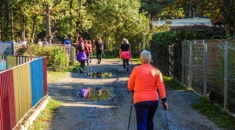 laury morza baltyckiego mikoszewo (8)