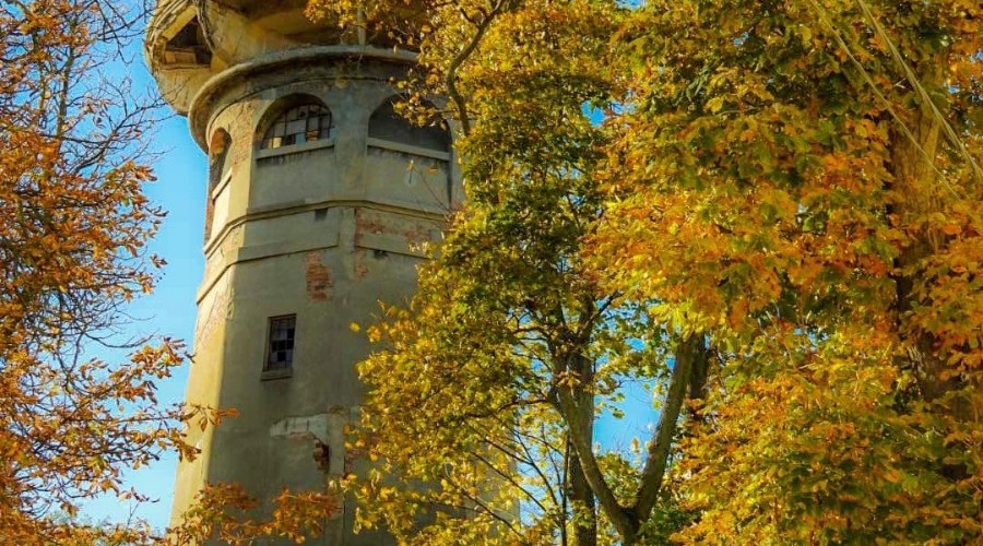 Nowy Dwór Gd. Zabytkowa wieża ciśnień (6)