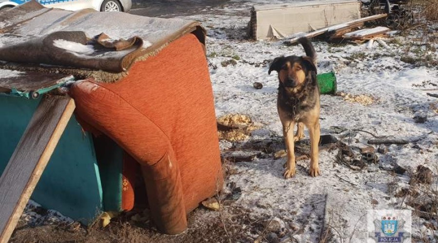 3NDG- ustawa o ochronie zwierzat