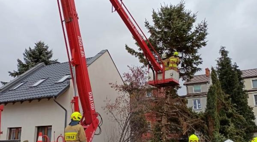 wiatr, interwencje straży25