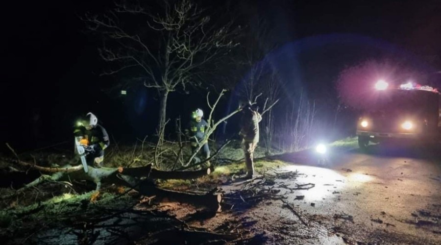 wiatr powalone drzewa powiat nowodworski wichura (1)