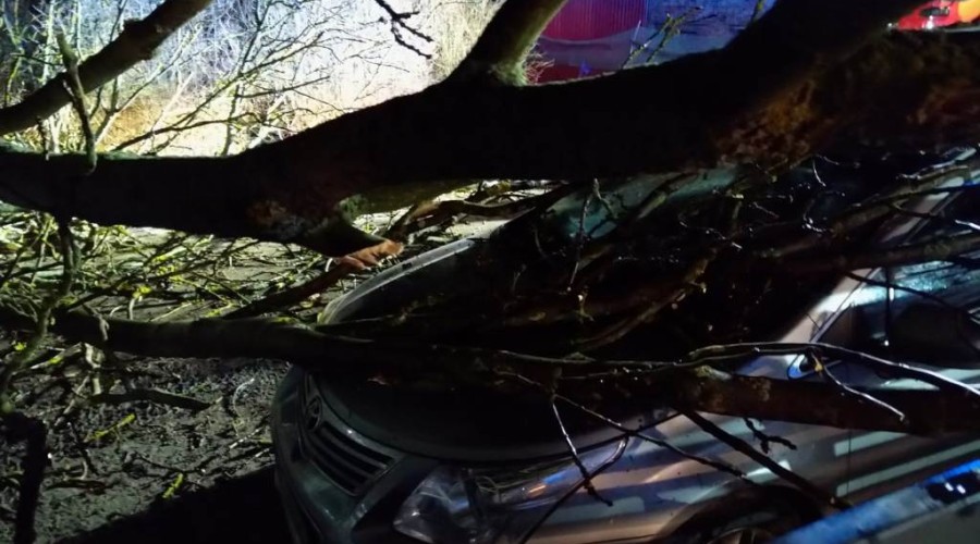 wiatr powalone drzewa powiat nowodworski wichura (10)