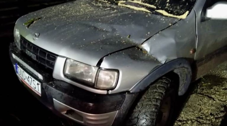 wiatr powalone drzewa powiat nowodworski wichura (11)