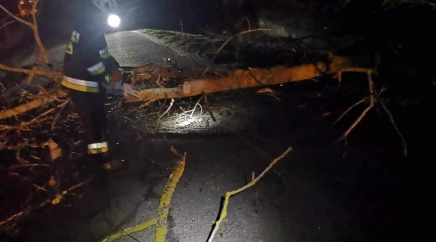 wiatr powalone drzewa powiat nowodworski wichura (4)