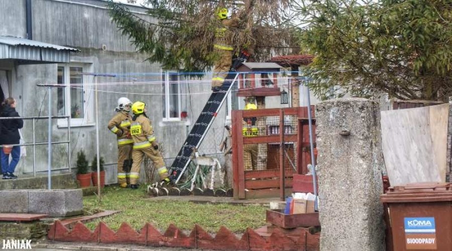 Powiat Nowodworski. Strażacy mieli pełne ręce roboty (13)