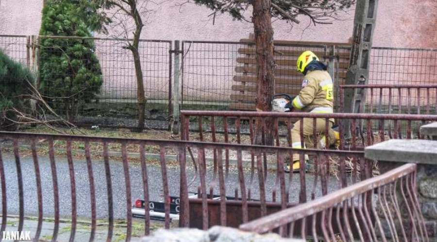 Powiat Nowodworski. Strażacy mieli pełne ręce roboty (6)