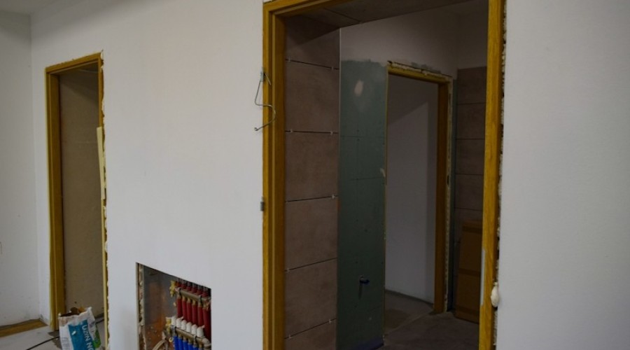 Drewnica szkarpawianka0114