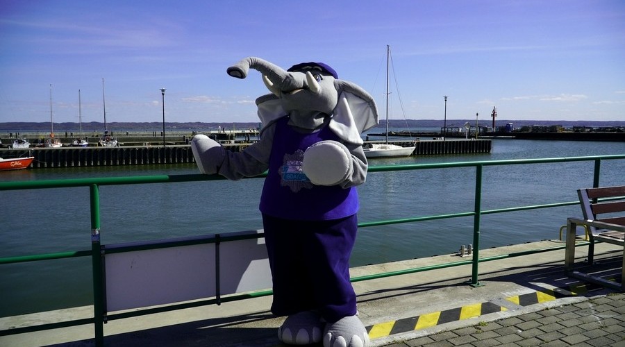 9NDG- KRYNICA MORSKA_fb