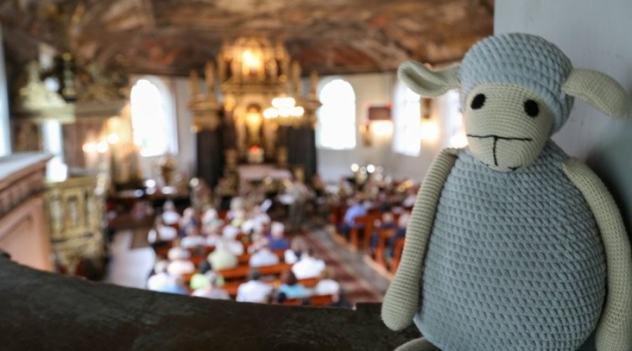 40 festiwal organowy stegna20